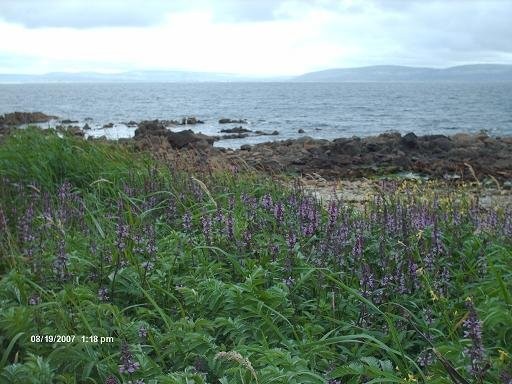 Galway Bay