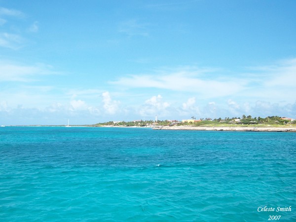 Blue Aruba