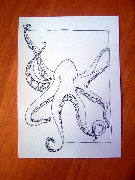 Octopi. Line Drawing.