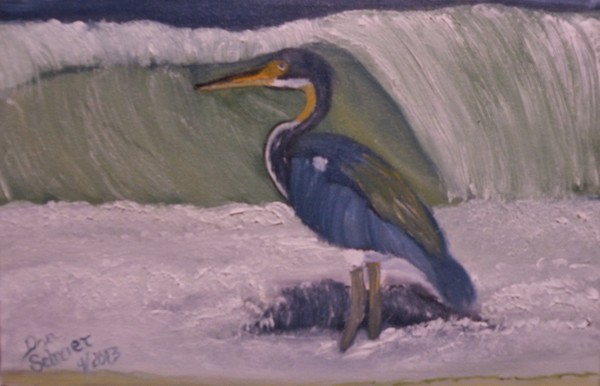 Tri Colored Heron in Surf