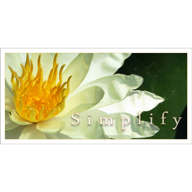 simplify-ig