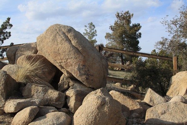 Yucca Valley Image 8