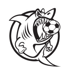 Logo for Miami Soccer Team 
