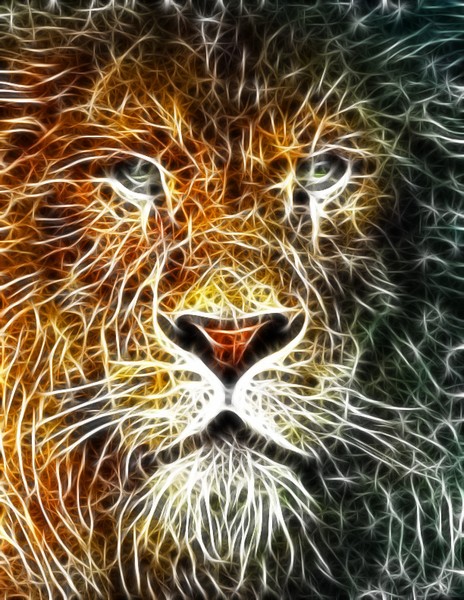 Mistical Lion face