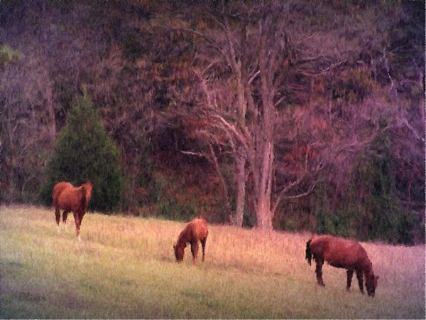 Three Horses