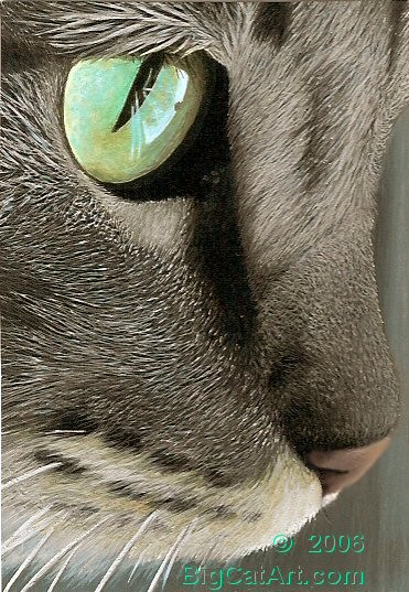 Cat's Eye II