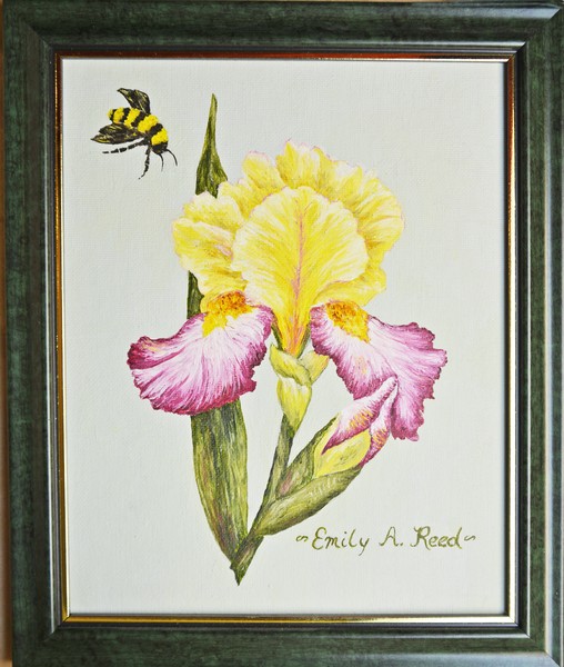 Bee and Iris
