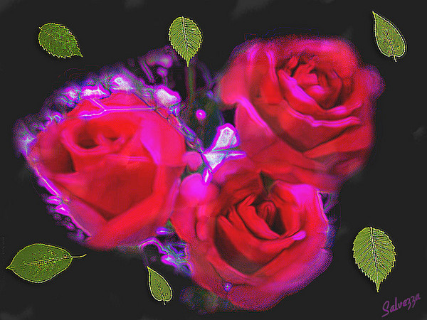 Roses Aglow