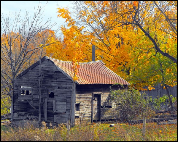Rural Autumn In Color