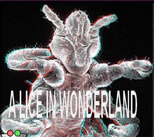 A Lice In Wonderland