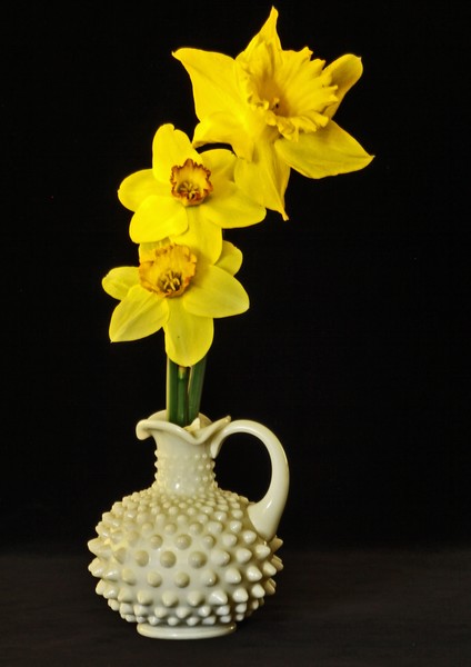 DAFFODILS IN VASE