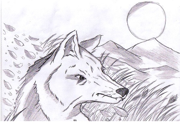 moon light wolf 