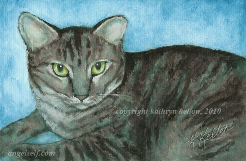 Tabby Portrait