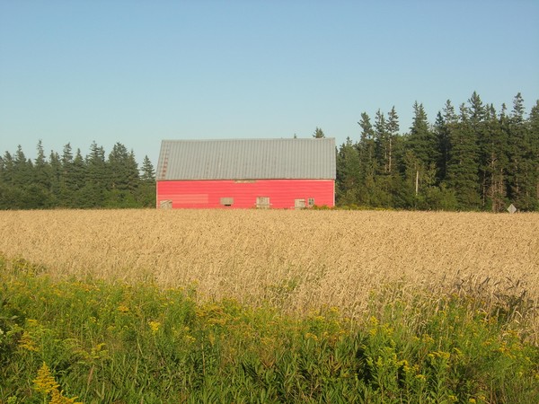 Red Barn