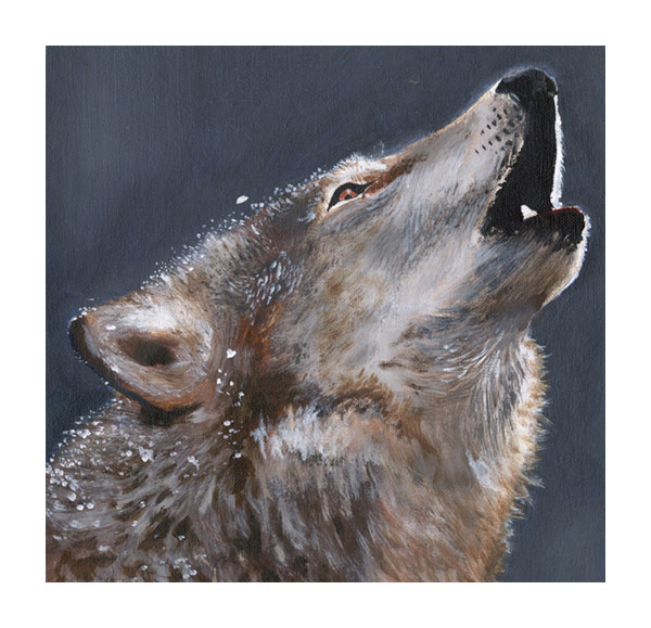 Wolf (Acrylic Study)