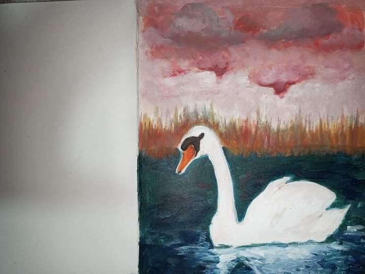 Swan