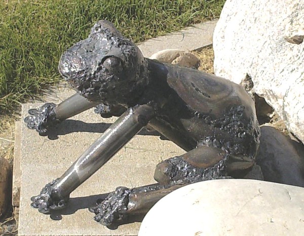 Medium Frog 2007