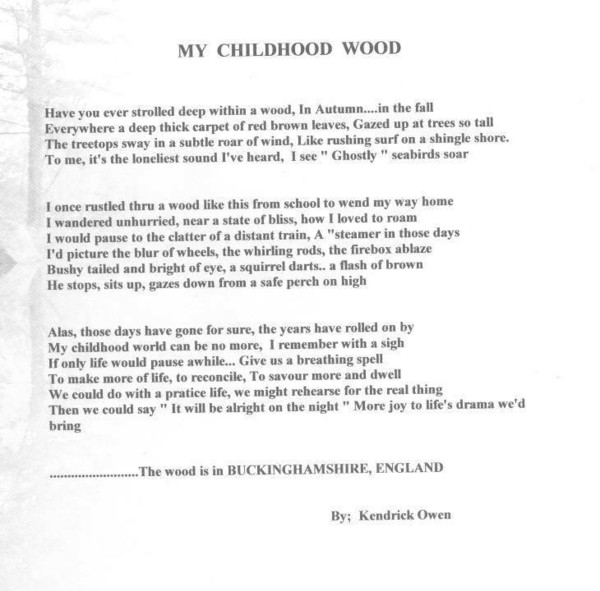 My Childhood Wood