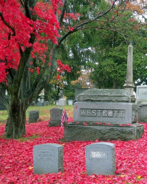 Red Leaves around Headstone