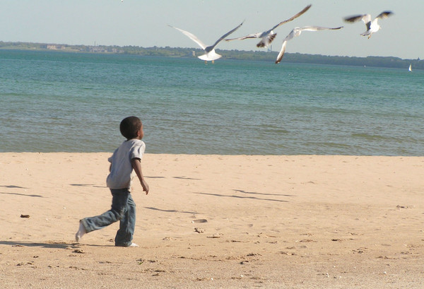 Boy with Gulls