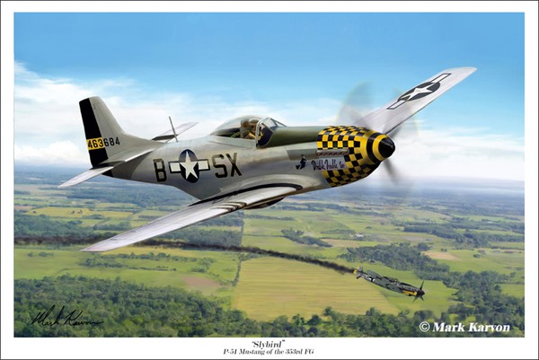 Slybird, P-51 Mustang of the 353rd FG