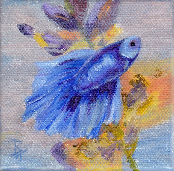 Little Blue Betta Fish