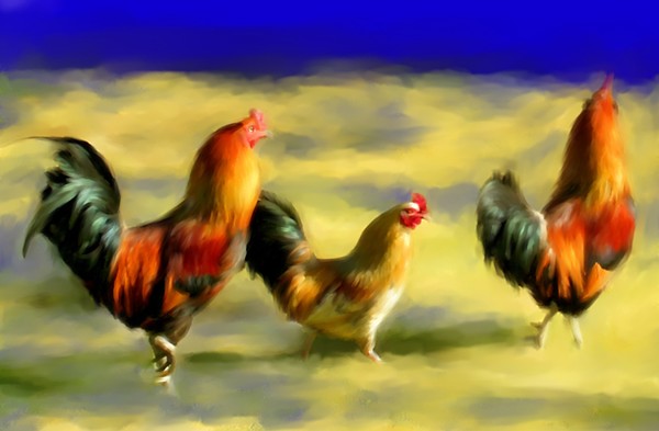 Three Roosters