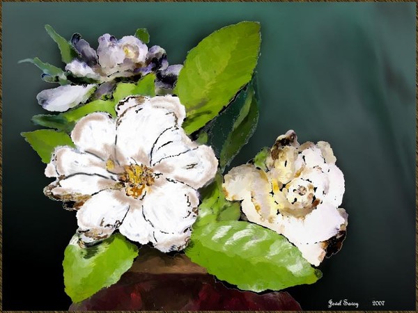 Gardenias