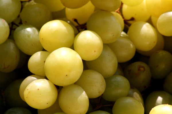 grapes