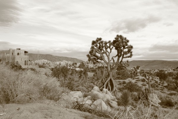 Yucca Valley Image 9