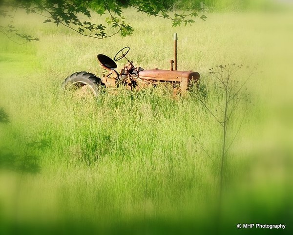 Put Out To Pasture