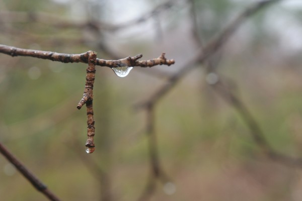 A Glimpse through the Rain