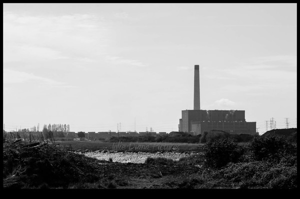 Nature Meets Industry