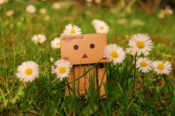 Danbo's Daisy World ....................