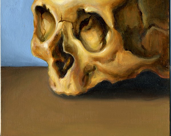 Pieter's Skull