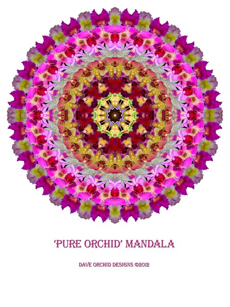 Pure Orchid Mandala