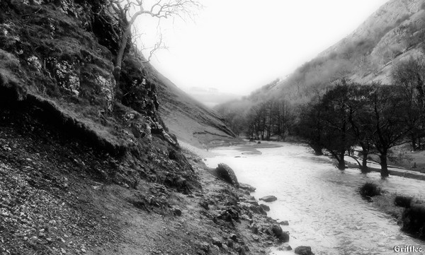 DOVEDALE # 2