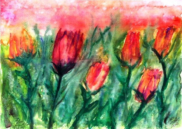 Tulips