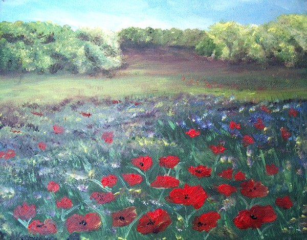 FIELD OF POPPIES