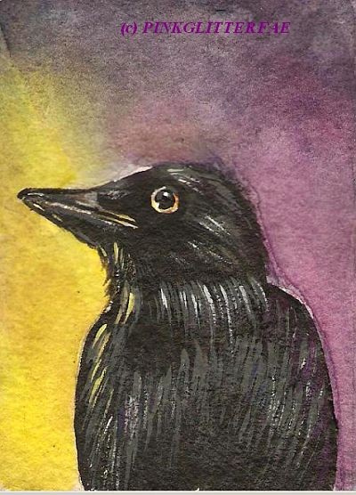 Northern Lights Crow