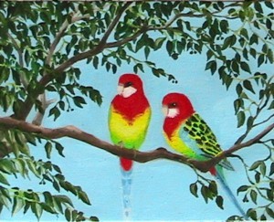 eastern rosellas