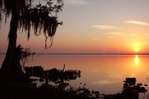 Sunrise and Silhouettes