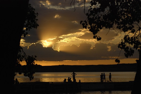 Nature's Silhouettes