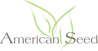 Logo Type - American Seed