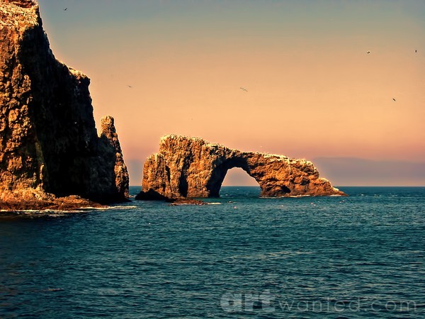 Archway at the Channel Islands