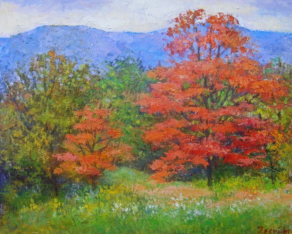 Red trees in the skyline drive