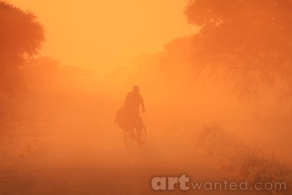 Sunset Rider - African Rush Hour