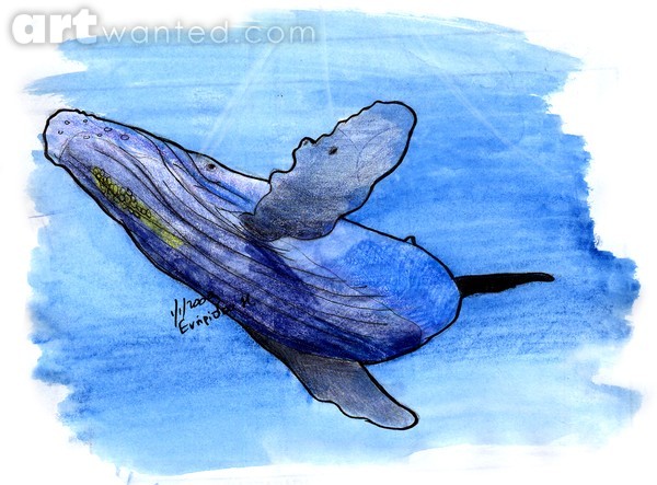 humpback whale