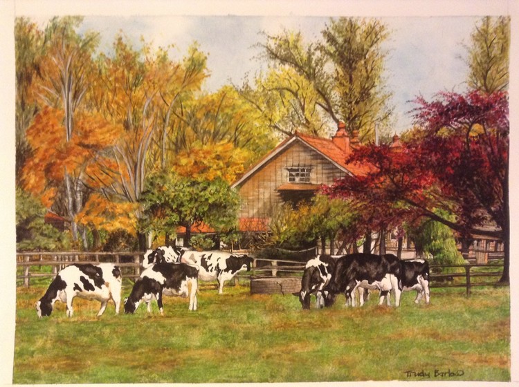 Autumn herd 