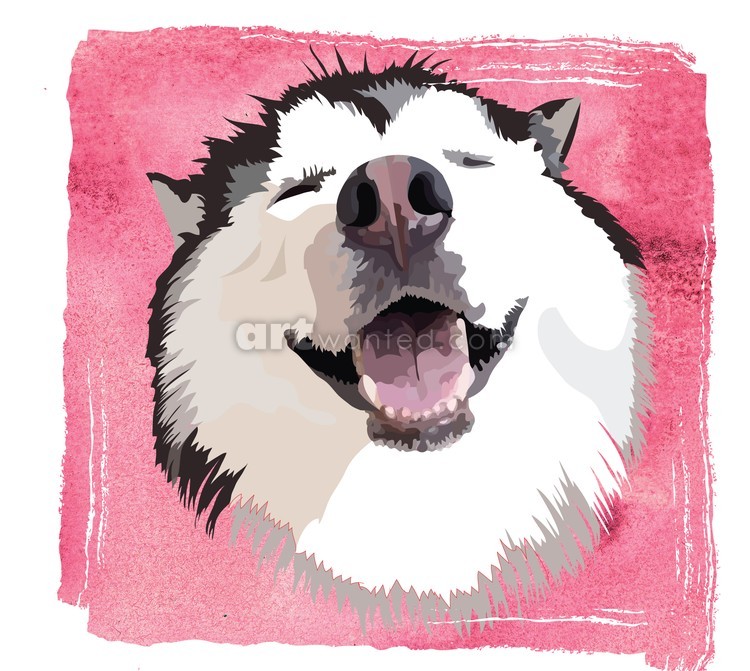 smiling-husky-mouth-closed